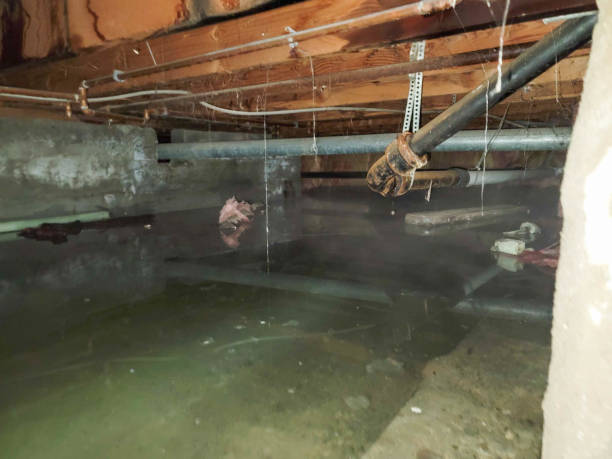 24/7 water damage repair in Manasquan, NJ