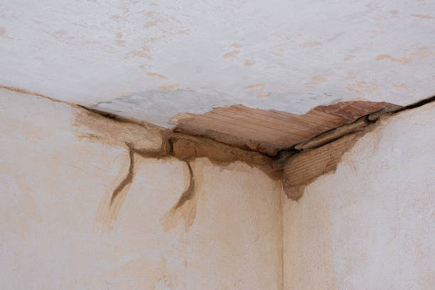 Best Flooded house restoration  in Manasquan, NJ