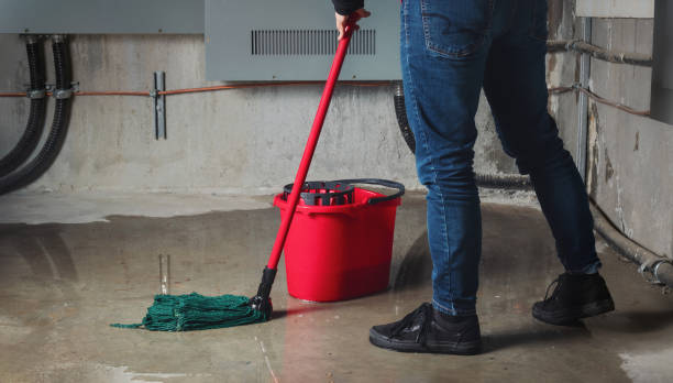 Best Flood damage cleanup  in Manasquan, NJ